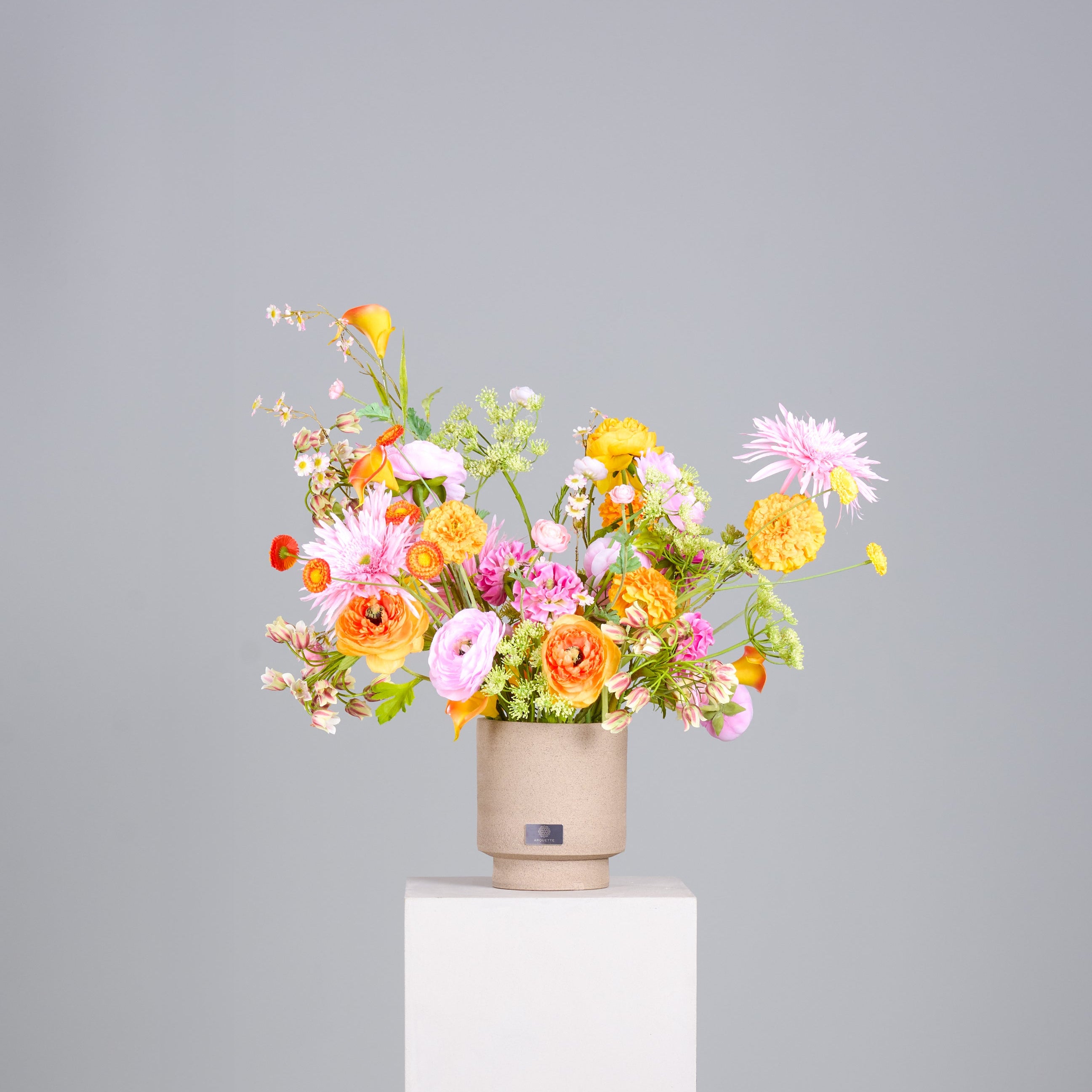 The Color Ranunculus