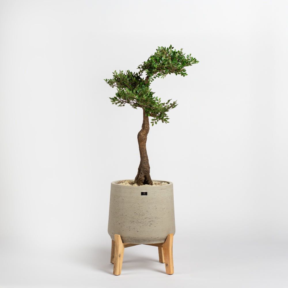 The Bonsai - Kunstplant