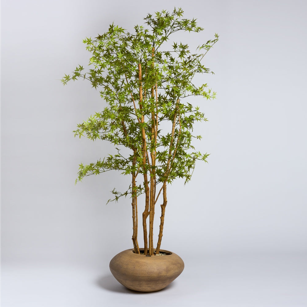 The Japanese Acer - Ferm Living - Kunstplant